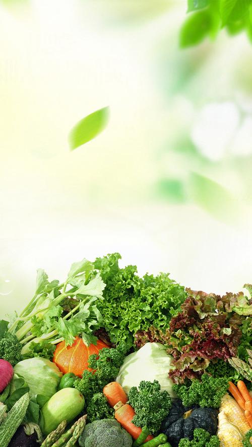 农产品安全 从蔬菜瓜果到树叶的食品安全知识