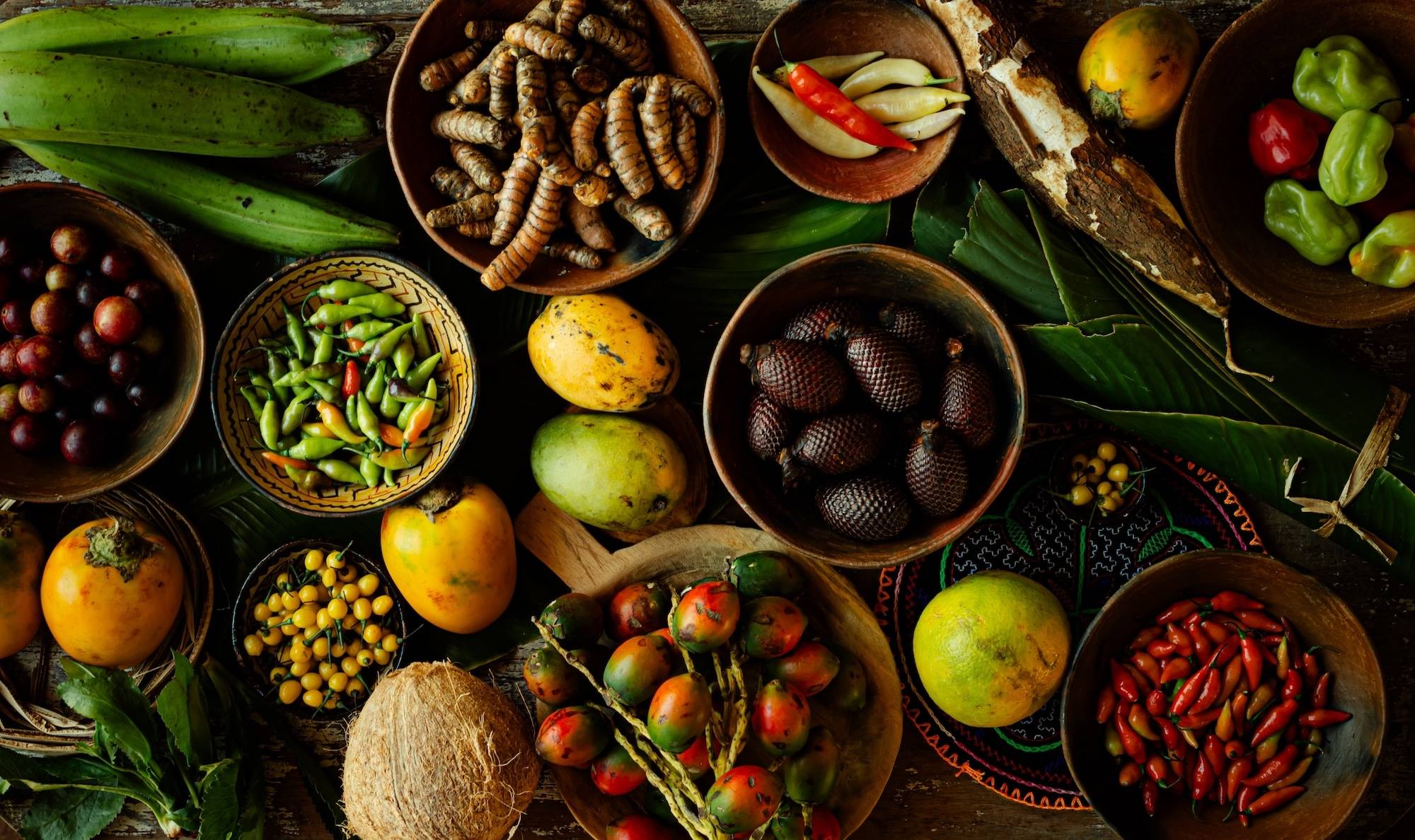 从蓝莓热销到钱凯港开港 秘鲁农业如何成为中企投资新热土