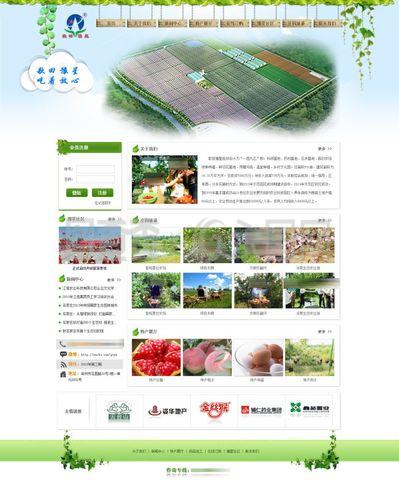 农产品 滋养人类文明的基石