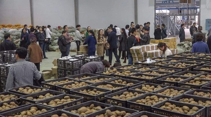 互联网+电商 简化农产品流通的革新之路