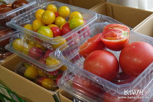 阜平农产品，山野馈赠的匠心之选