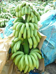 红河农产品信息网 链接田间与餐桌的数字桥梁