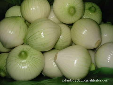 黄皮洋葱，自然之香甜，健康之选——安丘市渤海食品引领新鲜营养新风尚
