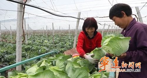 宁远 从源头上守护农产品质量安全