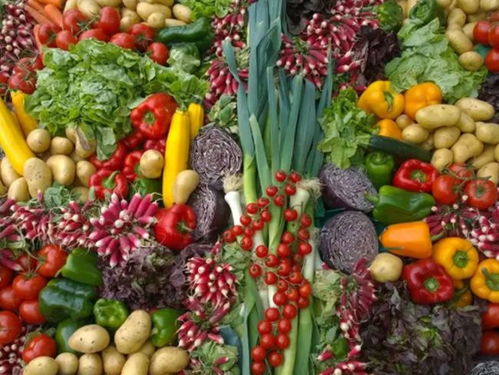 农产品加工方向在哪里 五大瓶颈决定企业生存