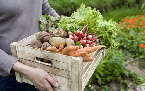 农产品电商困局解析 四大现状与六大困境的破局之道